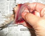 手開き説明付♪ひこいわしのアンチョビ風♪作り方5写真