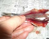 手開き説明付♪ひこいわしのアンチョビ風♪作り方6写真
