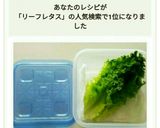 リーフレタス活用作り方10写真