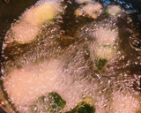 おつまみに！かぼちゃの皮の素揚げ作り方3写真