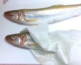 きゅうりのソテー٩(๑❛ᴗ❛๑)۶作り方3写真