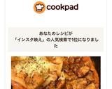 インスタ映えパネチキン★ヘルシー胸肉版作り方16写真