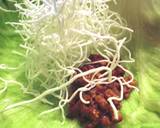 揚げビーフンと肉味噌のレタス包み♪作り方6写真