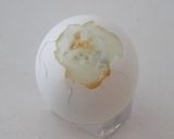 【江戸の味】三時のおやつに！絶品小倉玉子作り方3写真