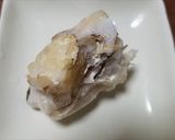 ウラベニホテイシメジなど豪華なホイル焼き作り方5写真