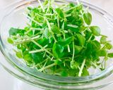 レンジで超簡単＊豆苗のツナ和え作り方1写真