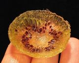 ドライキウイの花(難易度高め)作り方9写真