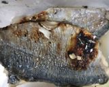 焼きあじの酢漬けねぎまみれ作り方2写真