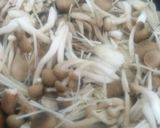 旨味香りが超～絶品☆茸と鶏の炊き込みご飯作り方2写真