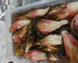 みょうがの漬物作り方6写真