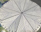 ガレットデロワ…16cm 1台分作り方10写真