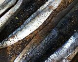湿気たせんべい活用 魚のサクサク焼き作り方2写真