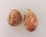 【離乳食 中期】電子レンジで里芋ペースト作り方1写真