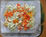 フードドライヤーでドライ野菜のささみピザ作り方1写真