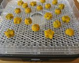 わんちゃんの焼かないカボチャクッキー作り方6写真