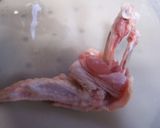揚げずに焼いた☆手羽餃子♪作り方6写真