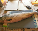 魚屋さん簡単秋鮭捌き方から筋子取り出し方作り方22写真