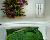 食感たのしい♥つるむらさきのお浸し作り方1写真