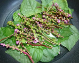 食感たのしい♥つるむらさきのお浸し作り方2写真
