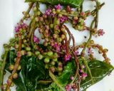 食感たのしい♥つるむらさきのお浸し作り方4写真