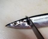 サンマの内臓の取り方作り方1写真