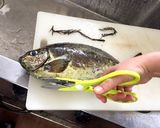 アイゴの中華春巻き作り方1写真