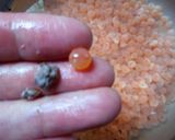 塩いくら作り方7写真