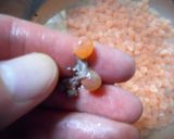 塩いくら作り方6写真