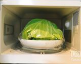 半分でも一玉でも巻ける裏技ロールキャベツ作り方8写真