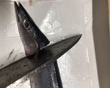 さんまの佃煮作り方1写真