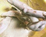 ハタケシメジの旨旨！からあげ！作り方2写真