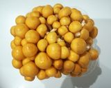 麻婆なめこ作り方1写真