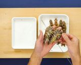 【簡単ミニおせち】海老と鮑作り方4写真