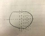 プッチーニカボチャの丸ごとグラタン作り方4写真