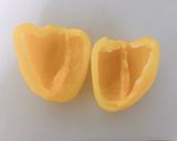 【離乳食 中期】パプリカ 電子レンジ使用作り方1写真