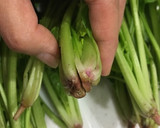 菊とほうれん草のもみ海苔おひたし作り方1写真