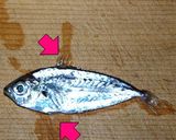 ジンダコの唐揚げ作り方4写真