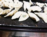 野菜たっぷり焼き餃子作り方5写真