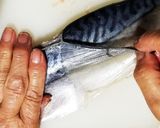 母から伝承、我が家の鯖寿司作り方1写真