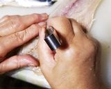 母から伝承、我が家の鯖寿司作り方2写真