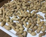 落花生をオーブンで焼く(覚書)作り方8写真