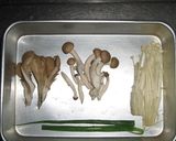 牡蠣のキノコあんかけ作り方3写真