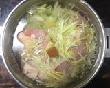 パパイヤカレー作り方4写真