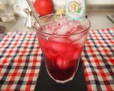 中泊産ブルーベリーの腰抜かしサワー作り方6写真