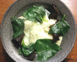 おかわかめと生きくらげの皿ワンタン作り方7写真