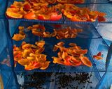 烏瓜から王瓜子を作る作り方8写真