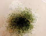 ★悪魔のおにぎり★白だし天使バージョン作り方2写真