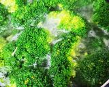 お年寄り絶讚シリーズ❗ブロッコリー❗作り方5写真