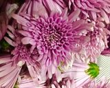 柿と菜の花と菊のわさび和え作り方1写真