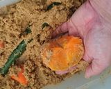 秋の妙味！柿のぬか漬け作り方2写真